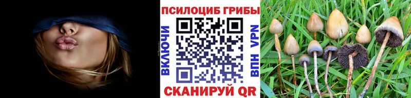 Галлюциногенные грибы мицелий  закладки  Белорецк 